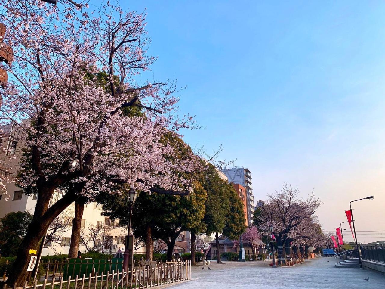 Apa Hotel Asakusa Kaminarimon Tokio Buitenkant foto